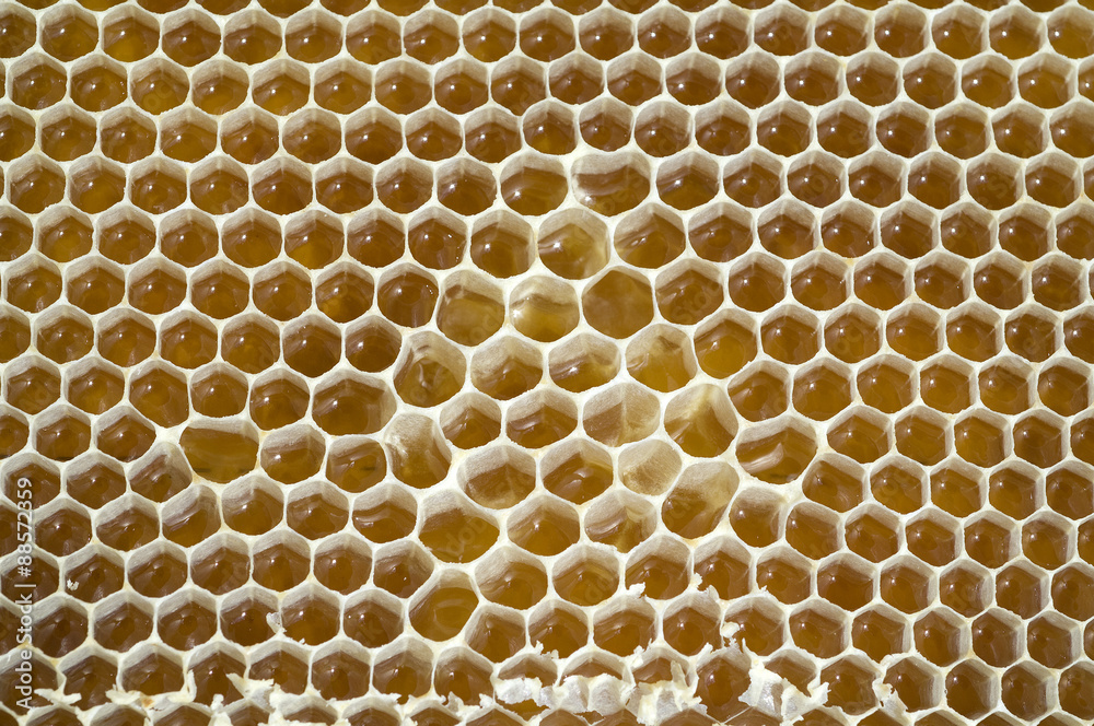 Honigwaben, waben, Bienenwachs, wachs, Bienenstock