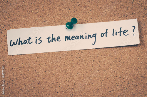 Canvas Print What is the meaning of life