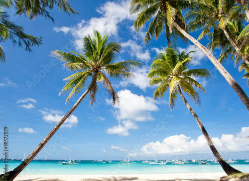 Fototapeta Naklejka Na Ścianę i Meble -  Palms on tropical beach