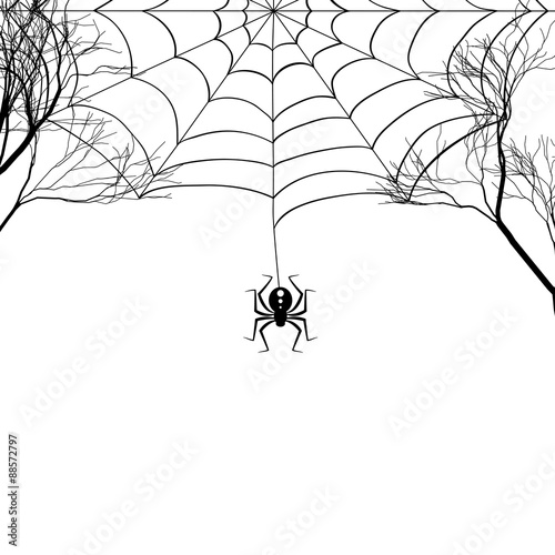 Cobweb between tree branches and a small spider on a white background.