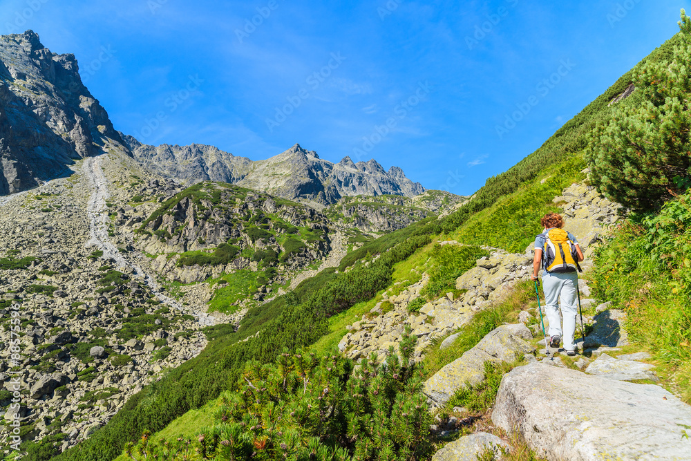 Young woman backpacker on hiking trail in summer landscape of High Tatra Mountains, Slovakia
