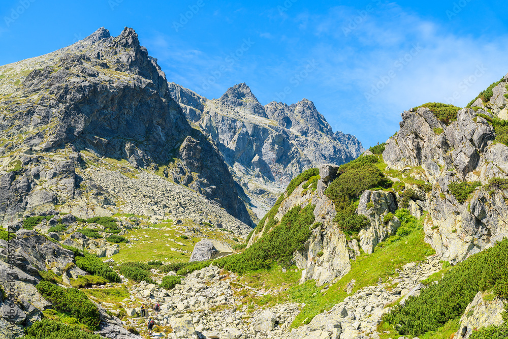 View of peaks in green Starolesna valley in summer landscape of High Tatra Mountains, Slovakia