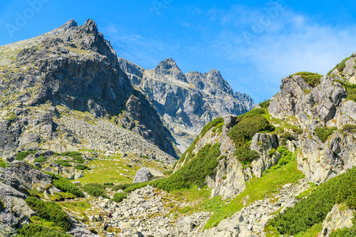 View of peaks in green Starolesna valley in summer landscape of High Tatra Mountains, Slovakia © pkazmierczak