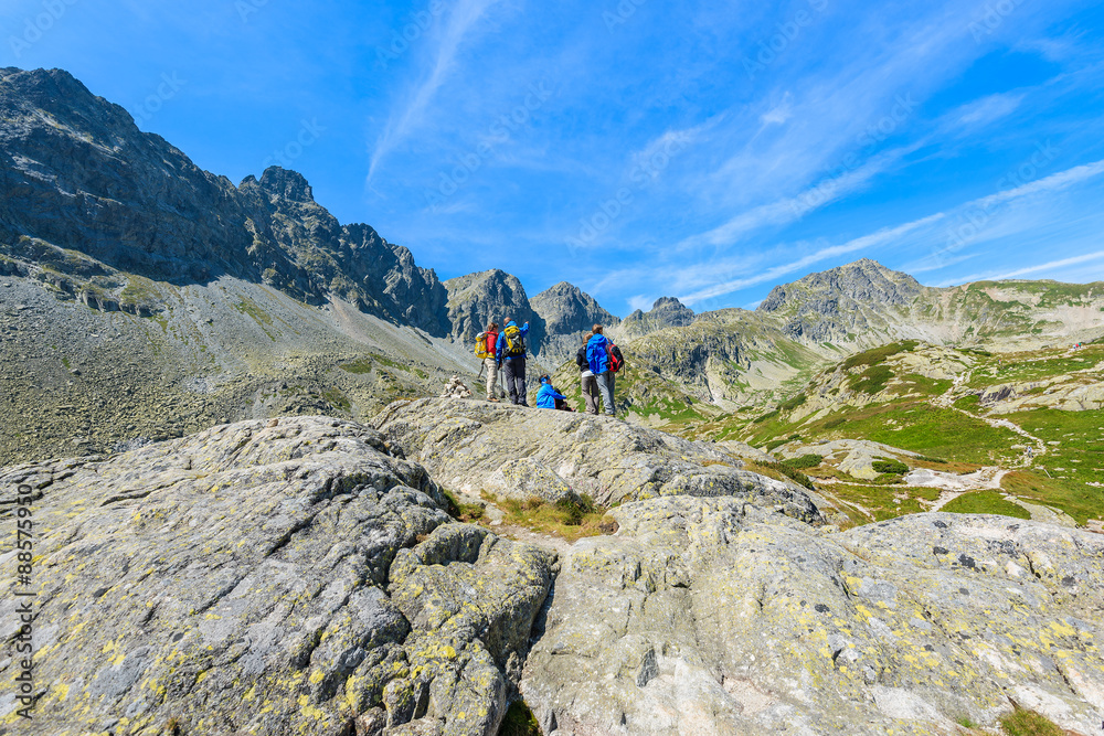 Group of tourists on top of rock looking at peaks of Starolesna valley in summer season, High Tatra Mountains, Slovakia