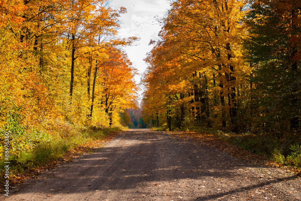 Back Roads in Northern Wisconsin