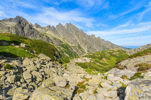 Path among rocks in Starolesna valley in High Tatra Mountains on sunny summer day, Slovakia