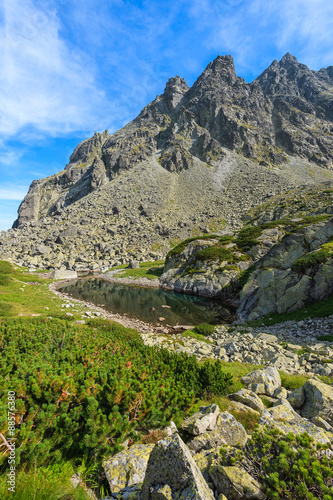 View of beautiful alpine lake in summer landscape of Starolesna valley, High Tatra Mountains, Slovakia