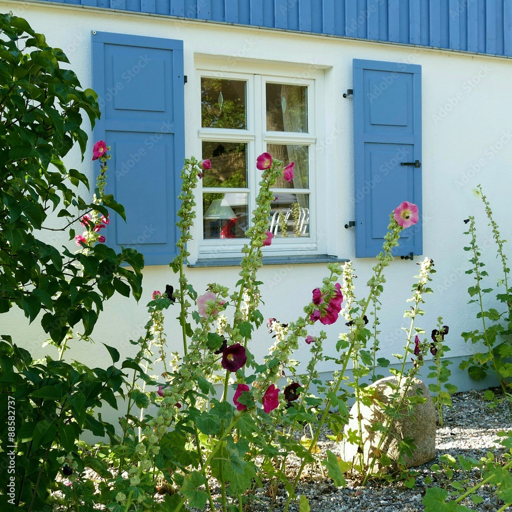 Klappläden im Landhaus Prerow Klappläden im Landhaus Prerow