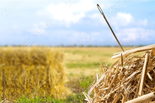 Photographie Needle in a Haystack, Searching, Haystack.