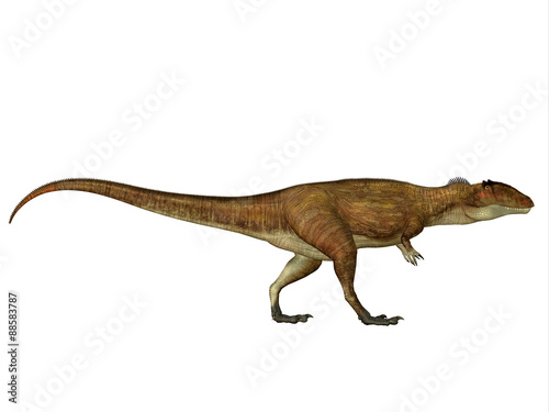 Carcharodontosaurus Side Profile - Carcharodontosaurus was a carnivorous theropod dinosaur that lived in Sahara, Africa during the Cretaceous Period. © Catmando