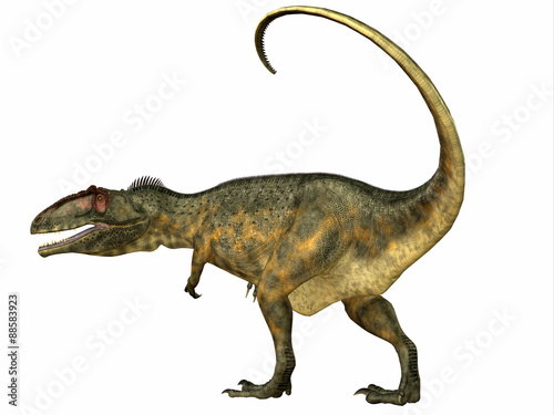 Fototapeta Naklejka Na Ścianę i Meble -  Giganotosaurus Dinosaur Tail - Giganotosaurus was a theropod carnivorous dinosaur that lived in the Cretaceous Period of Argentina.