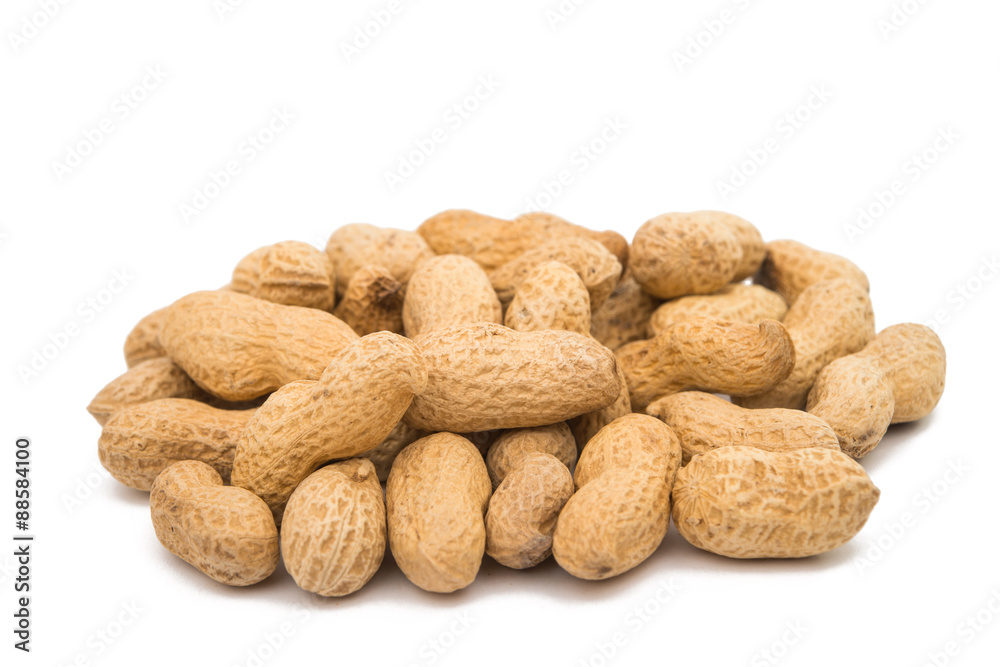 Peanuts in the shell Peanuts in the shell