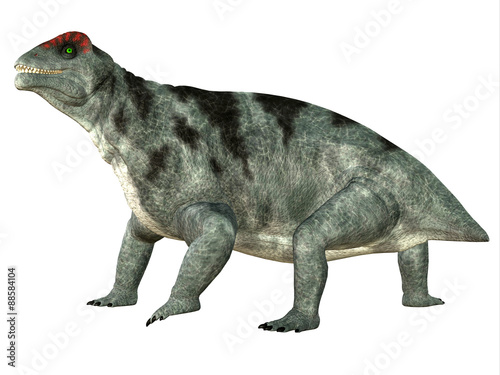 Moschops Side Profile - Moschops was a primeval herbivorous dinosaur that lived in South Africa in the Permian Period.