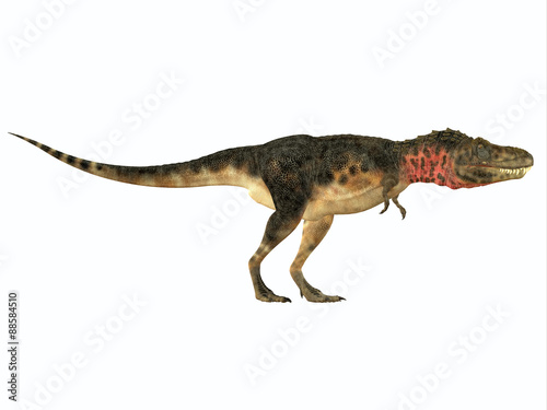 Tarbosaurus Side Profile - Tarbosaurus was a carnivorous theropod dinosaur that lived during the Cretaceous Period of Asia. © Catmando