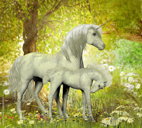 Dekoracja na wymiar  unicorns-and-white-daisies-a-white-unicorn-mother-brings-up-her-foal-in-a-magical-forest-full-of-spring-flowers