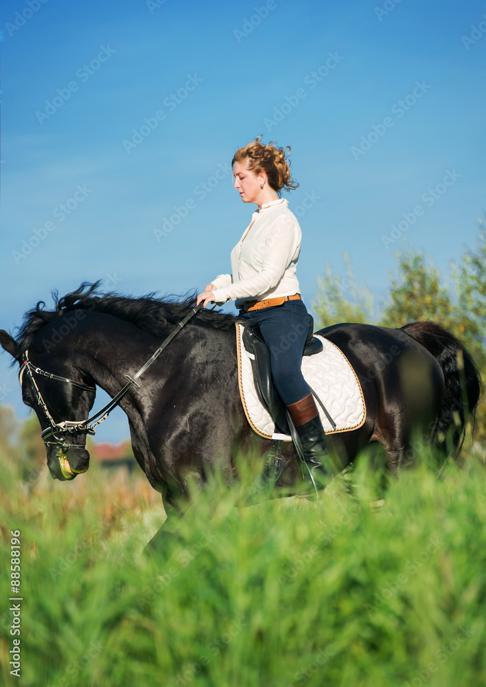 black beautiful horse with rider in meadow black beautiful horse with rider in meadow