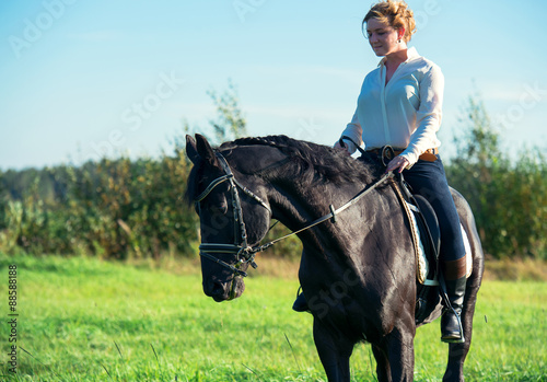 black dressage horse with rider in autumn field