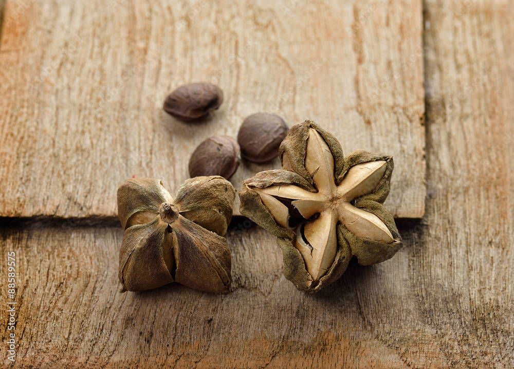 mountain peanut or Inca-peanut. It is native to much of tropica mountain peanut or Inca-peanut. It is native to much of tropica