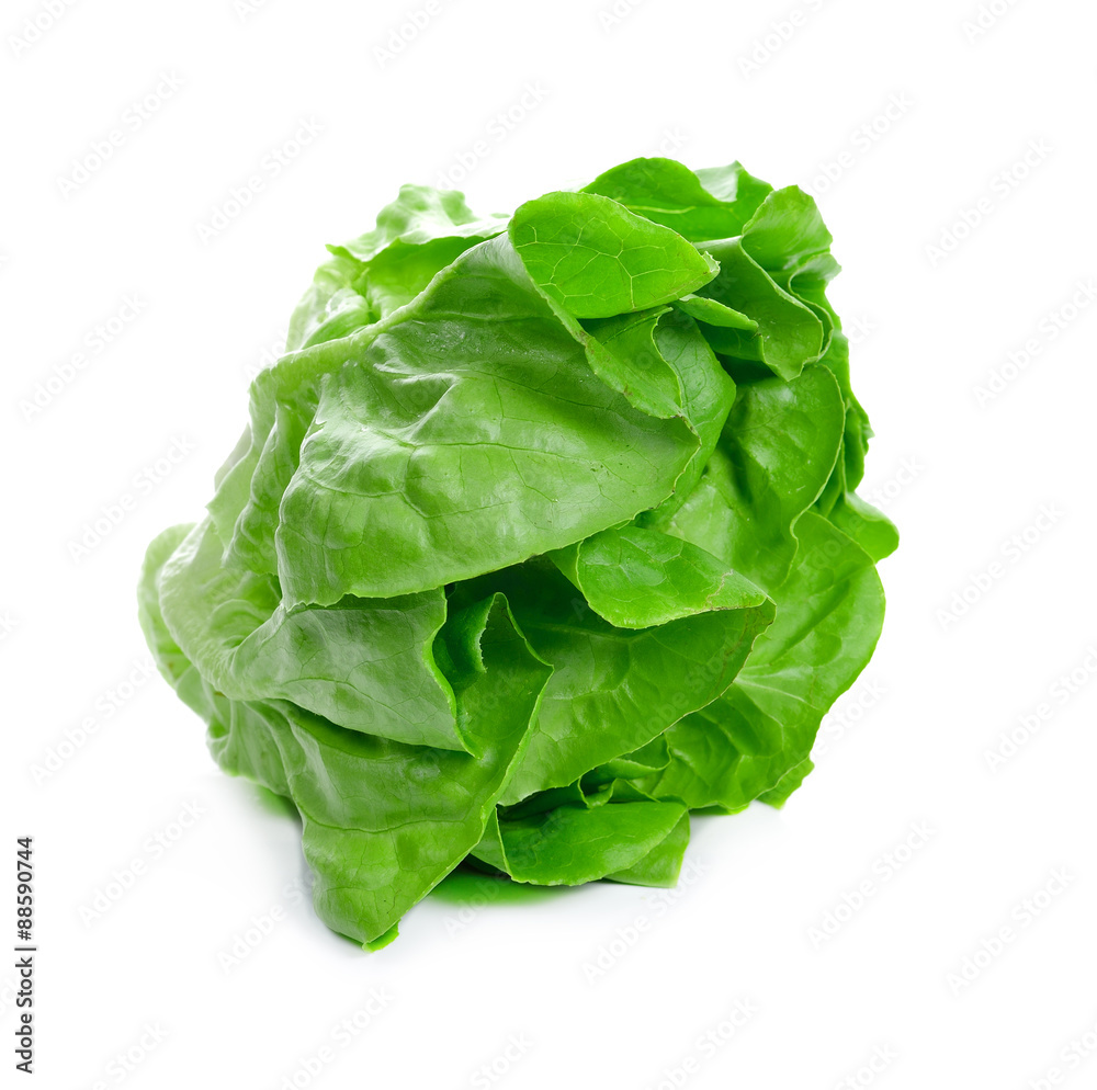 Lettuce Salad Isolated On White Lettuce Salad Isolated On White