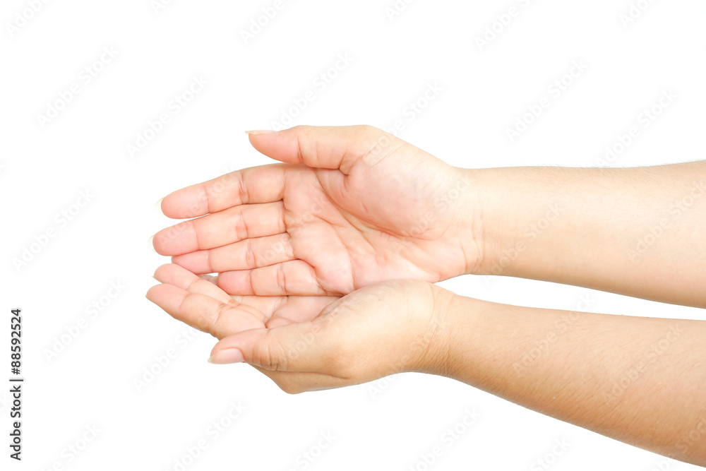two women hands isolated on white background two women hands isolated on white background