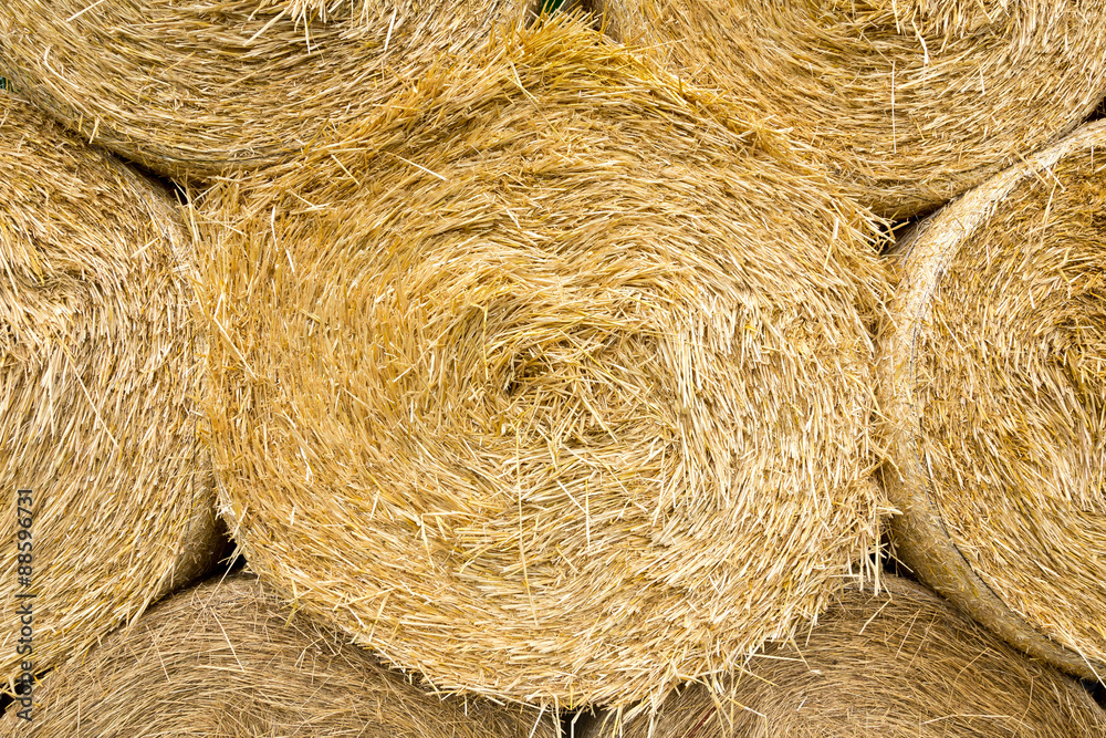 Some bales of straw in bright golden color Some bales of straw in bright golden color
