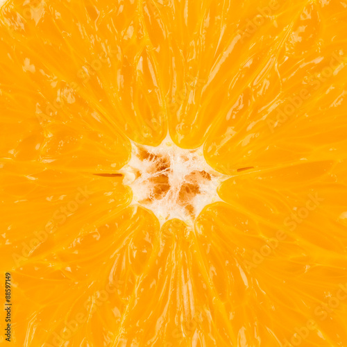 Orange marco shot