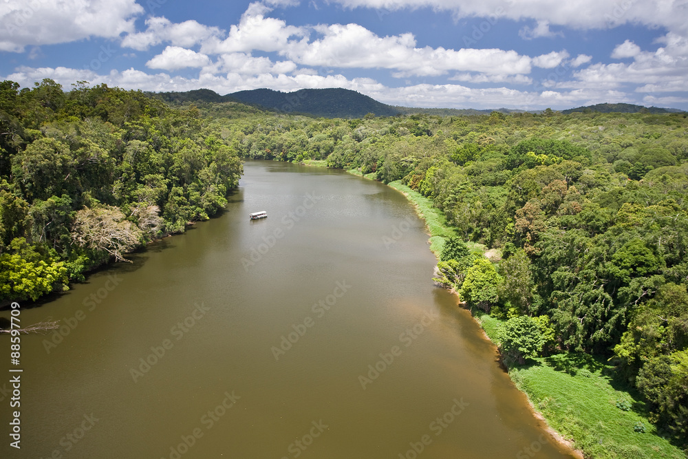 River in rainforest