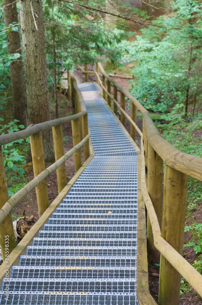 Winding stairway in summer forest
