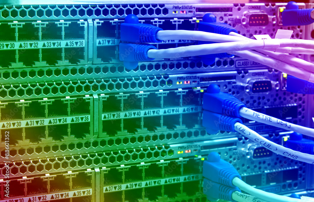 Lan utp cable plug in network switch Lan utp cable plug in network switch