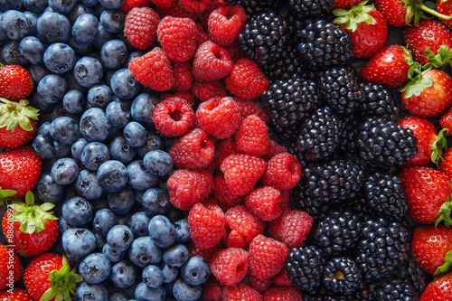 Canvas Print Healthy mixed fruit and ingredients from top view