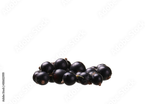 Black currants isolated on white