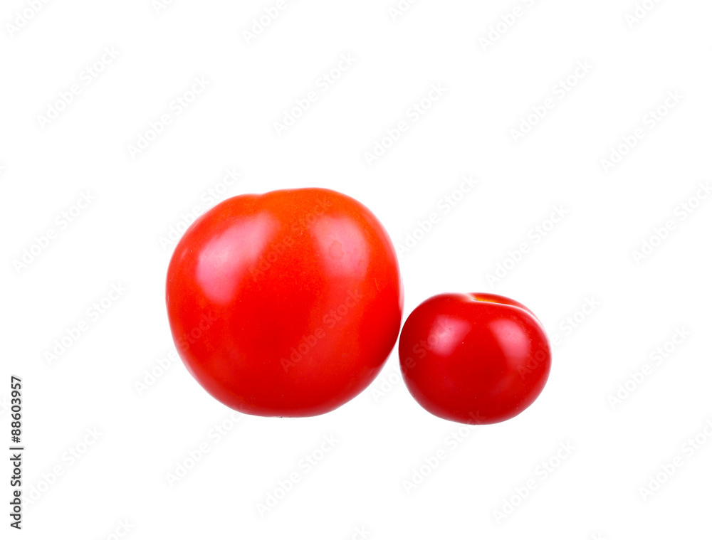tomatoes on a white background tomatoes on a white background