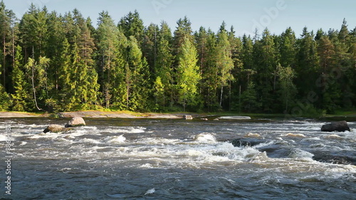 Summer landscape of Kymi in Finland, fast river water motion along coastal forest
