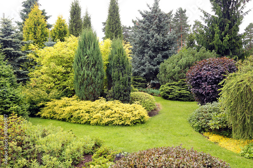 Bilde på lerret beautiful garden landscape with variety of conifers and other pl