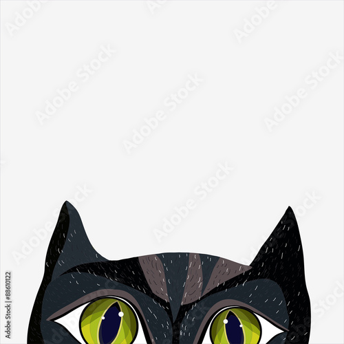 Black cat in cartoon style looks interesting. Vector illustration. Printing on T-shirt. Poster. Design. Isolated.