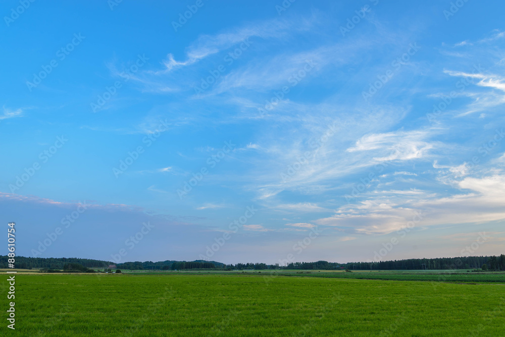 beautiful blue sky green field beautiful blue sky green field