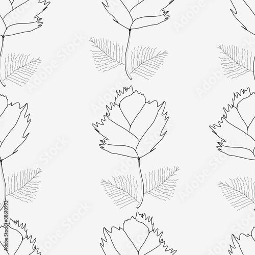 Delicate black floral pattern on a white background. Delicate black and white background with floral pattern.