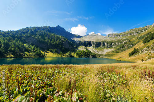 Fototapeta Naklejka Na Ścianę i Meble -  Lago di Campo - Adamello Trento Italy. Lago di Campo (Campo lake) 1944 m. Small beautiful alpine lake in the National Park of Adamello Brenta, Trentino Alto Adige, Italy