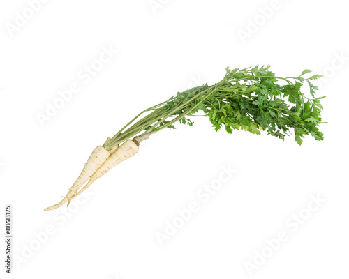 Parsley root with greens isolated on a white background