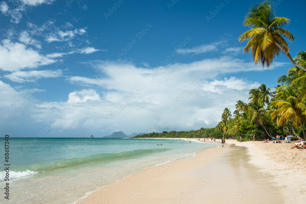 Longue plage martiniquaise bordée de cocotiers Longue plage martiniquaise bordée de cocotiers