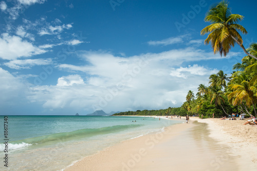 Longue plage martiniquaise bordée de cocotiers © manta94