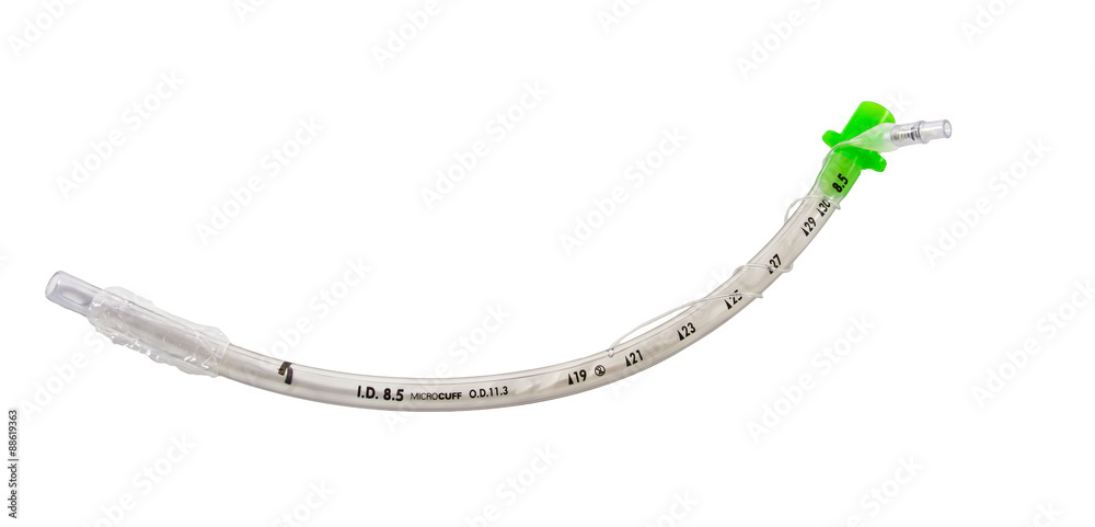 uncuffed endotracheal tube isolated on white background