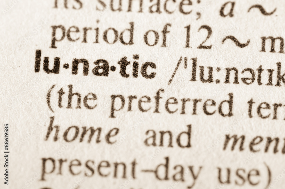 dictionary definition of word lunatic dictionary definition of word lunatic