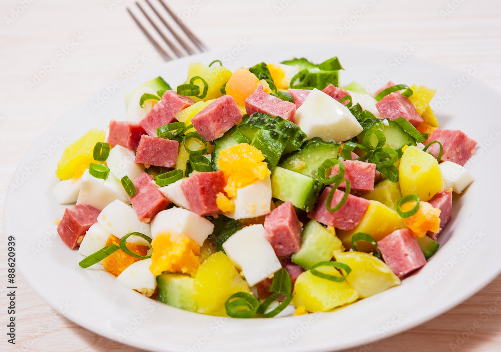 Fresh salad with potato, egg, salami, cucumber and green onion Fresh salad with potato, egg, salami, cucumber and green onion