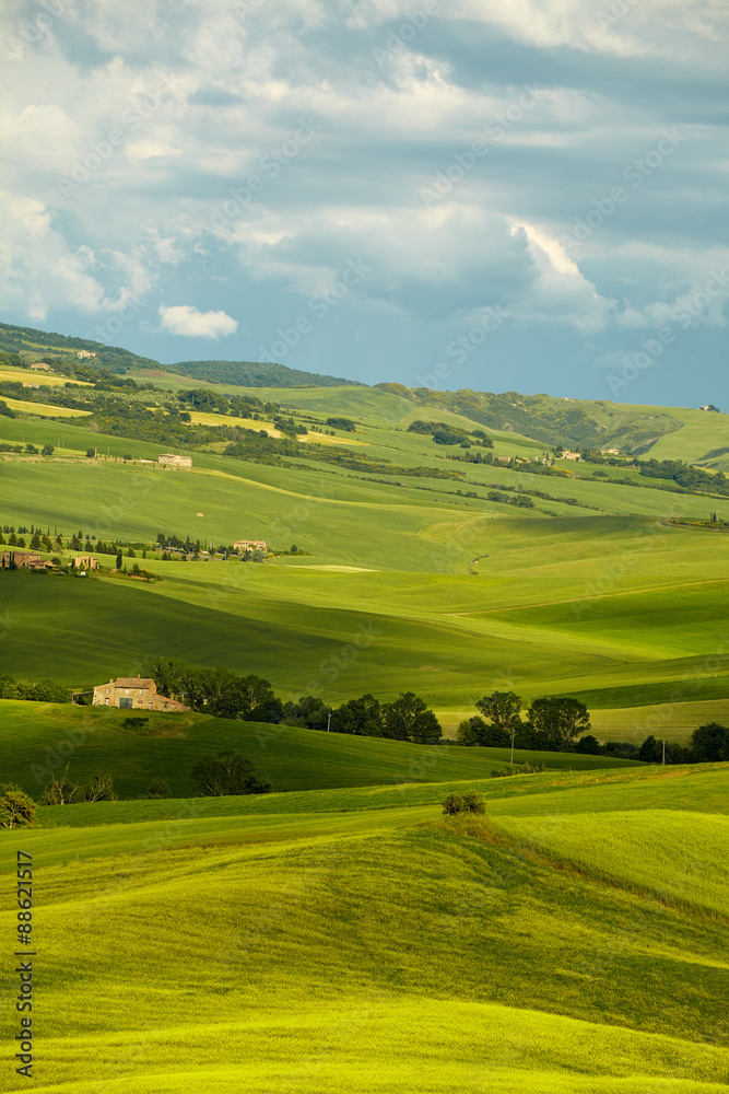 Green Tuscany hills Green Tuscany hills