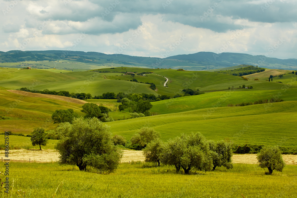 Green Tuscany hills