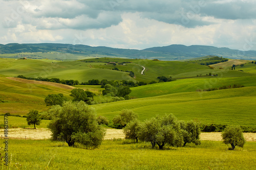 Green Tuscany hills