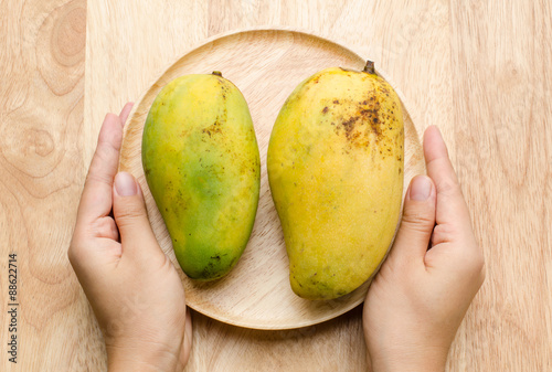 Ripe Mangoes Fruit on wooden plate,tropical fruit