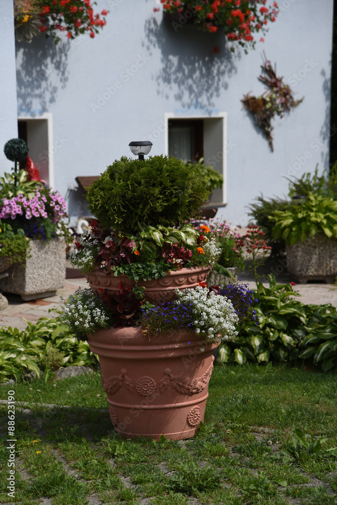 vaso di fiori giardino estate giardinaggio decorazione