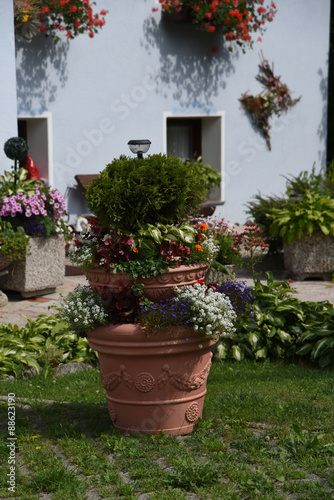 vaso di fiori giardino estate giardinaggio decorazione © franzdell